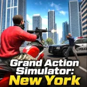 Grand Action Simulator: New York