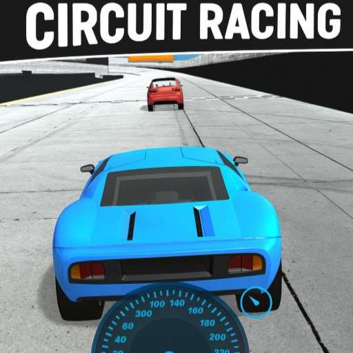 Circuit Racing