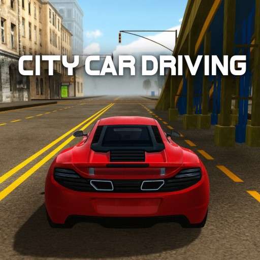 City Car Driving