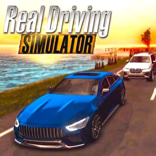 Real Driving Simulator